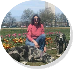 Artisan Jane Hannon with Great Danes Vegas and Marble